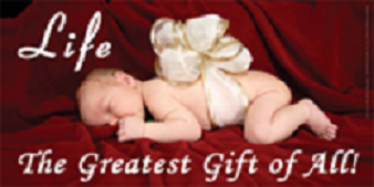 b116lg_life_greatest_gift__enlarged